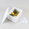 Box isolants avec couvercle 45,0 l, "245