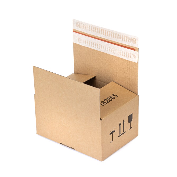 BOX 213x153x109mm F0703 1.21B SK10