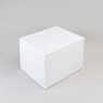 Isolierbox mit Deckel 101,5 l, "301"