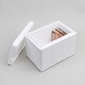 CAISSE TH 50L
