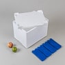 Isolierbox mit Deckel  23,2 l, "222_L"