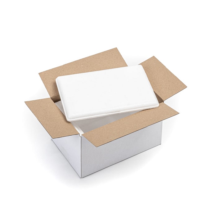 BOX 263x173x145mm F0201 1.30E