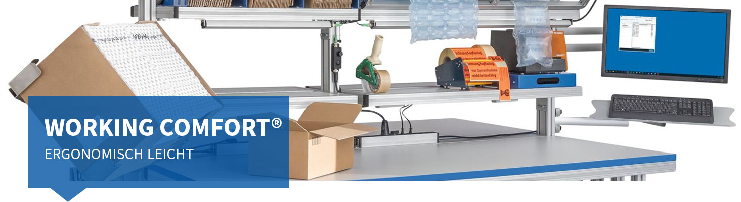 VERPACKUNGSLOGISTIK MIT WORKING COMFORT® VERPACKUNGSLOGISTIK MIT WORKING COMFORT®