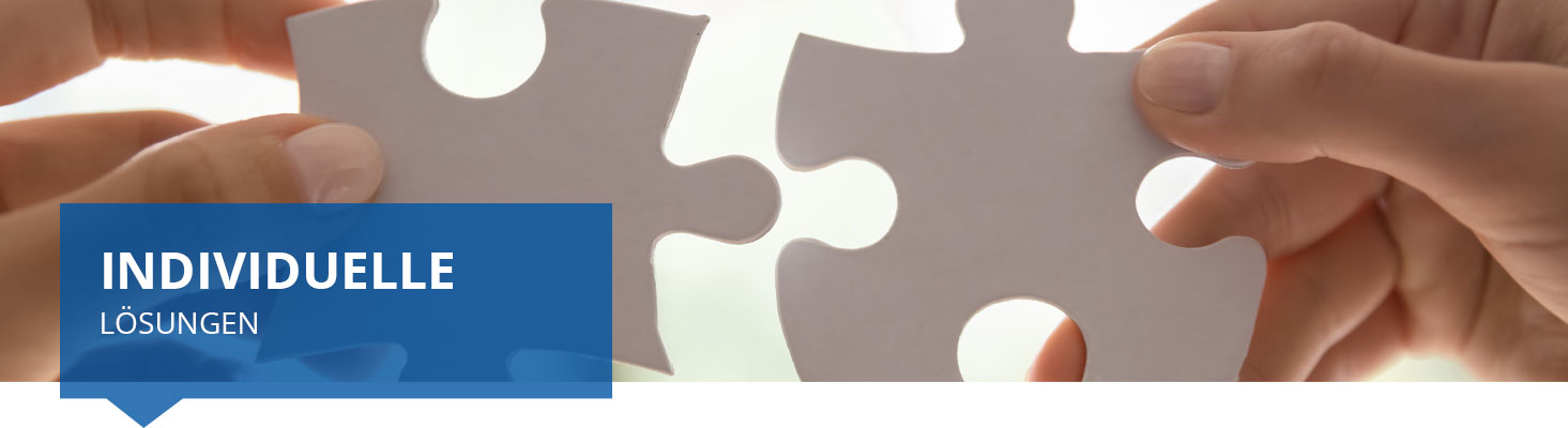 Individuelle Lösungen Individuelle Lösungen