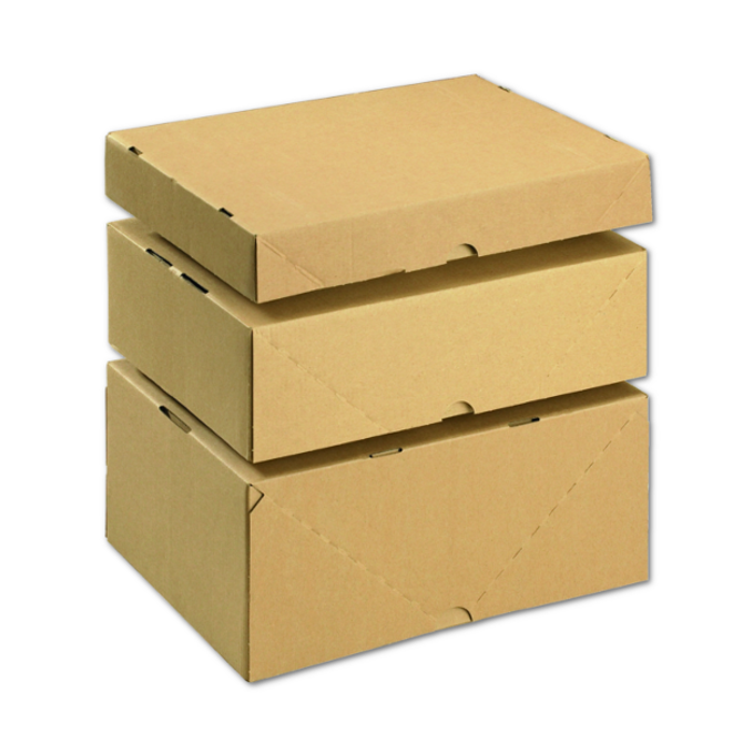 BOX 0305x0215x0050 Stülpdeckelkarton