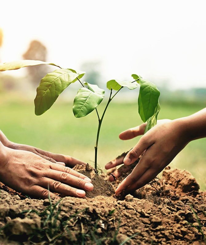 Blogthema - Unser Weg für mehr Klimaschutz Blogthema - Unser Weg für mehr Klimaschutz