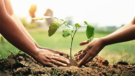 Ratgeberthema - Nachhaltig Verpacken Ratgeberthema - Nachhaltig Verpacken